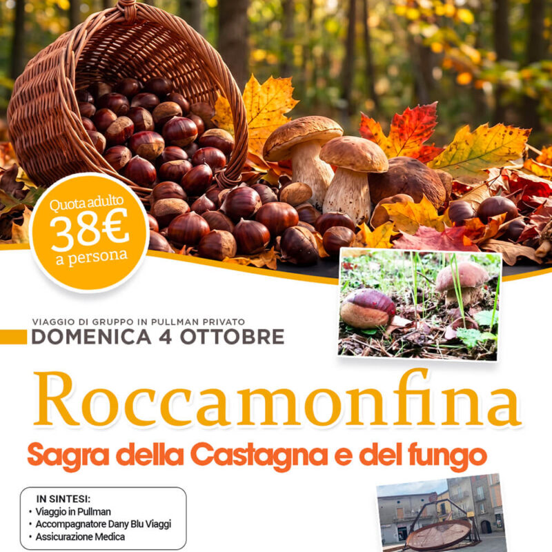 Roccamonfina - Sagra della Castagna e del fungo