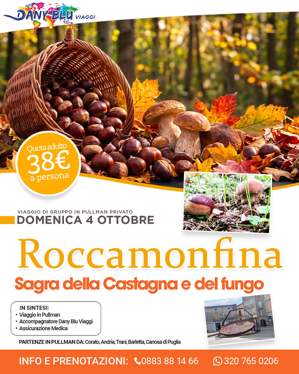 Roccamonfina - Sagra della Castagna e del fungo